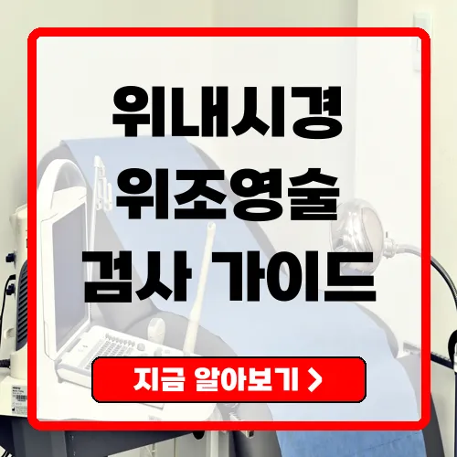 위내시경과 위조영술 정확한 검사를 위한 가이드