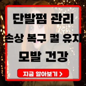 단발펌 모발 손상 관리