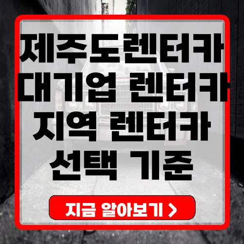 제주도 렌터카 업체 선정 기준