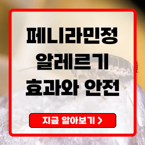 페니라민정 알레르기 완화의 효과와 안전한 사용법