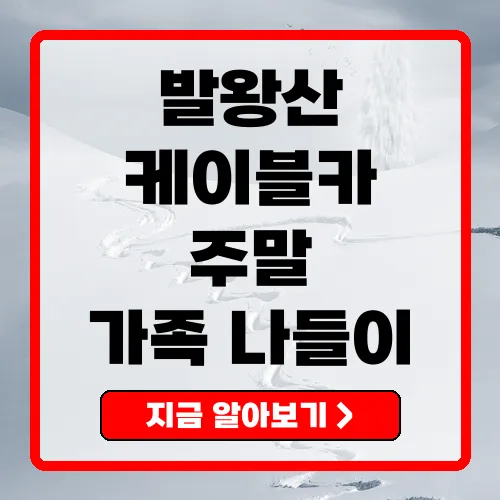 발왕산케이블카 강원도의 숨겨진 매력을 탐험하세요