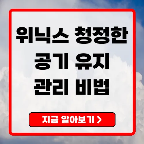 위닉스 공기청정기로 깨끗한 공기를 유지하는 방법