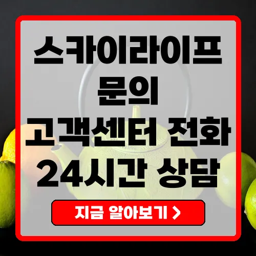 스카이라이프 고객센터, 편리하게 연락하는 방법 안내