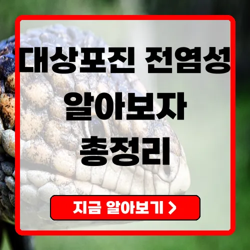 대상포진 전염성 이해와 예방