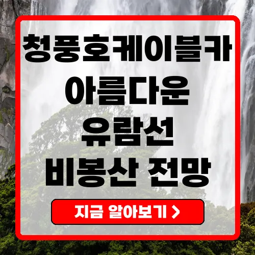 제천 여행의 매력, 청풍호케이블카와 유람선 탐험