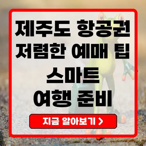 제주도항공권예매 저렴하고 스마트한 여행 준비하기