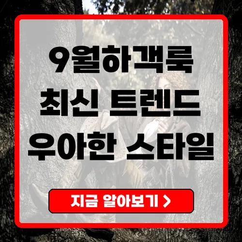 2025년 9월 하객룩 최신 스타일링 트렌드 가이드
