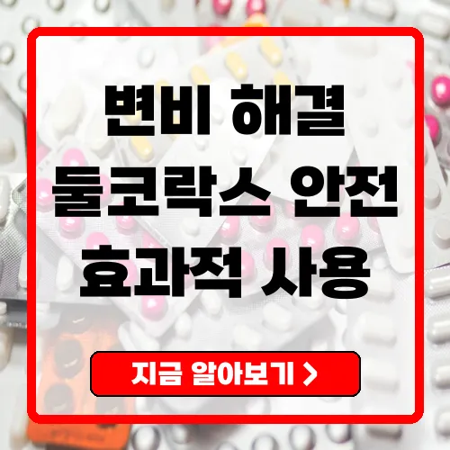 둘코락스 변비 해결의 핵심 정보 및 안전 가이드
