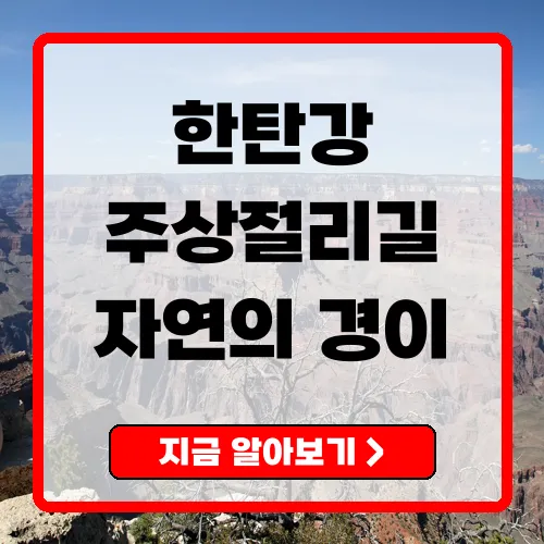 철원 한탄강 주상절리길 자연의 경이로움을 만끽하다