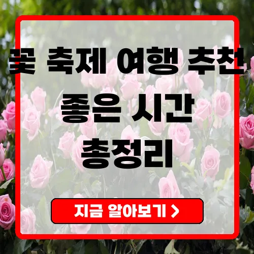 철원 고석정 꽃축제 2025 봄과 가을의 향연