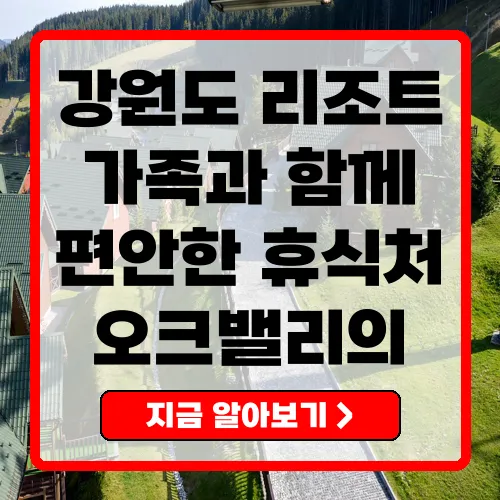 강원도리조트 오크밸리 리조트의 모든 것