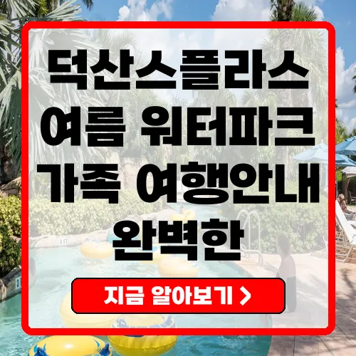 덕산스플라스 워터파크에서의 완벽한 여름 나기