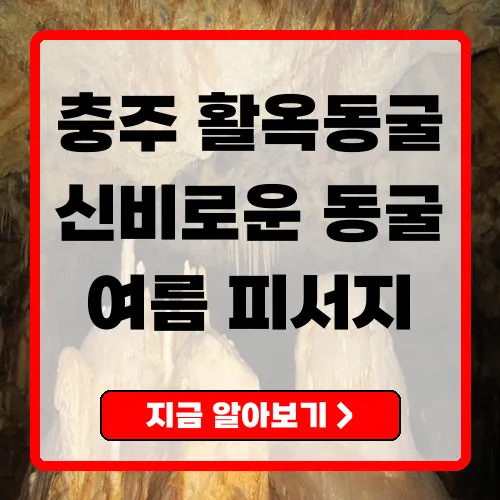 충주 활옥동굴 탐방 신비한 동굴의 매력을 알아보자