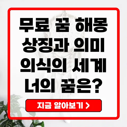 무료꿈해몽풀이 꿈의 상징과 의미를 알아보자