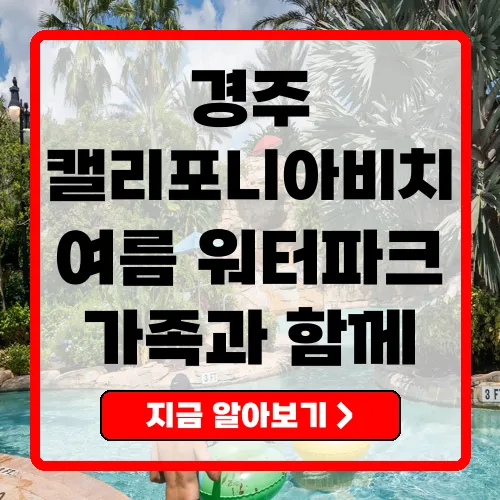 경주캘리포니아비치 여름의 즐거움을 만끽하는 완벽한 장소