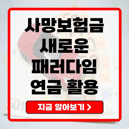사망보험금 유동화 노후 소득의 새로운 패러다임