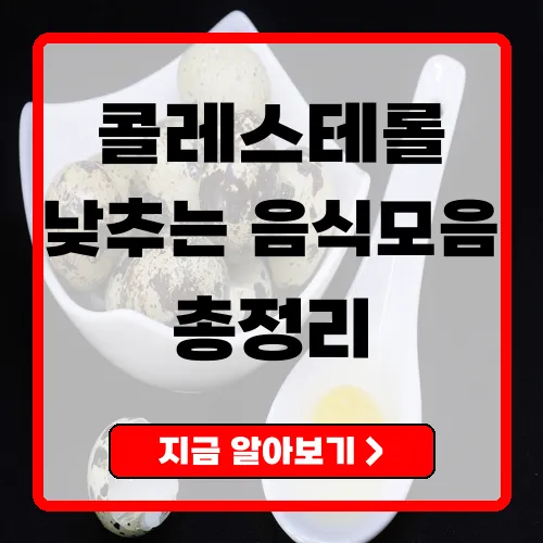 콜레스테롤낮추는음식 과학적 근거로 구성한 식단 가이드