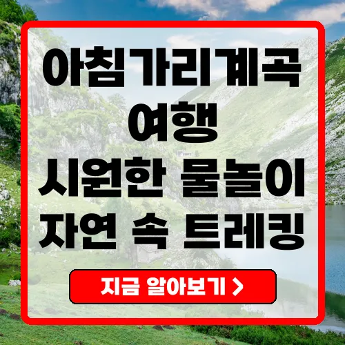 아침가리계곡트레킹 여름철 완벽한 트레킹 코스 안내
