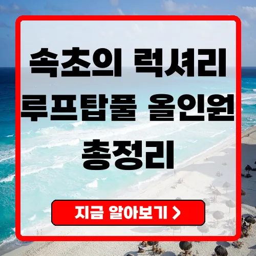 홈마리나속초 완벽 가이드 – 루프탑 풀부터 조식까지 200% 즐기기