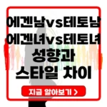 에겐남 테토남 에겐녀 테토녀