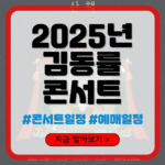 2025년 김동률 콘서트