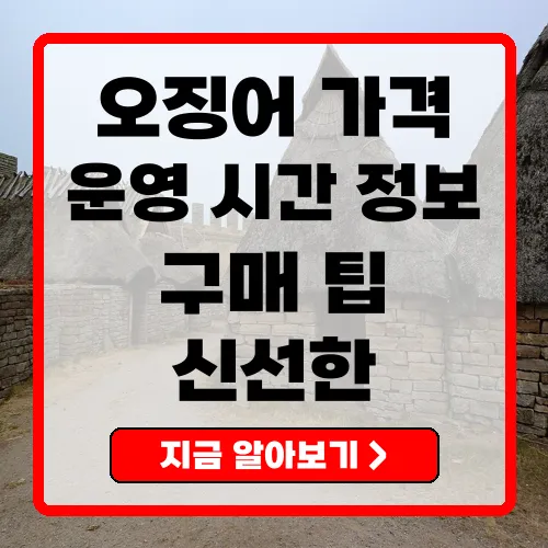 오징어난전 가격 및 운영 정보 총정리
