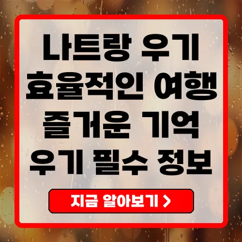 나트랑 우기의 모든 것 여행 전 알아야 할 필수 정보