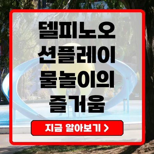 델피노오션플레이 물놀이의 모든 것