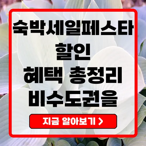 2025년 하반기 숙박세일페스타 완벽 가이드 할인 혜택과 신청 방법