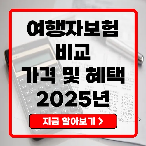 2025년 여행자보험 비교 가격과 혜택 완벽 정리