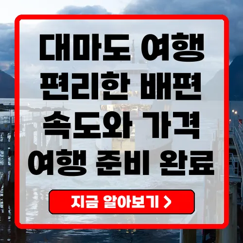 대마도 배편 완벽 가이드 니나호와 팬스타 비교 및 예약 요령