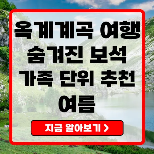 옥계계곡 여행 필수 정보 및 추천 맛집 총정리