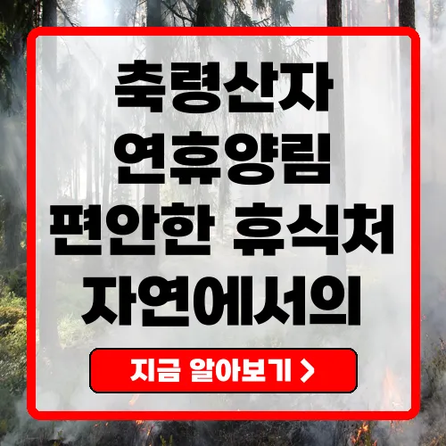 축령산자연휴양림 완벽 가이드 입장료부터 예약 방법까지