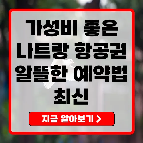 2025년 나트랑항공권 완벽 가이드 요금, 팁 및 예약 방법