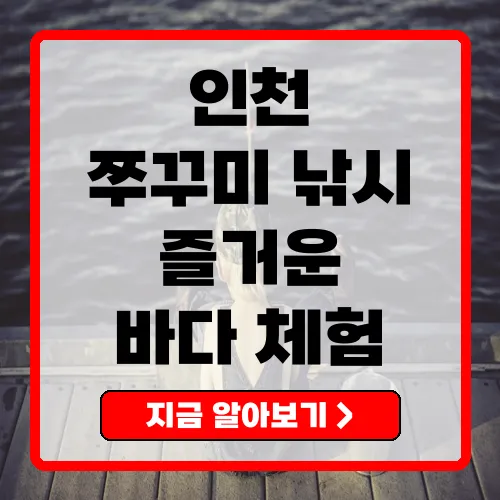 인천쭈꾸미낚시, 예약 방법과 가격 정보 총정리