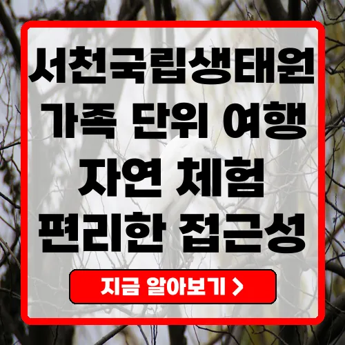 서천국립생태원 입장료, 관람시간 및 주변 관광지 완벽 가이드