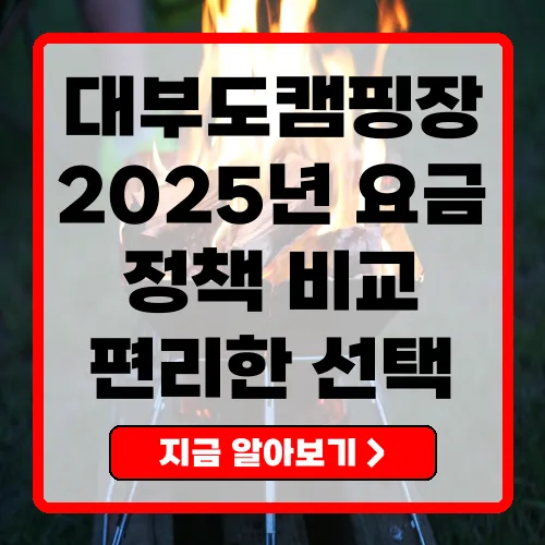 2025년 대부도캠핑장 이용 요금 및 정책 완벽 비교
