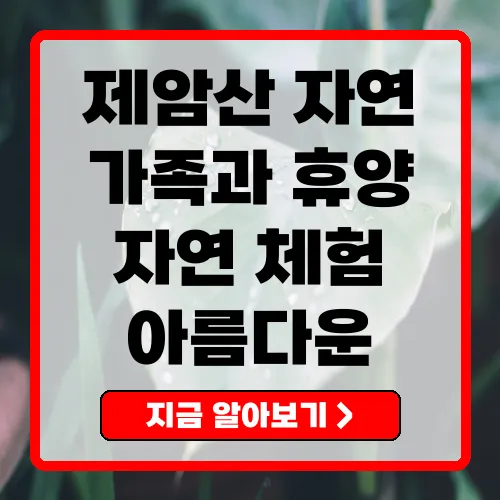 제암산자연휴양림 가족과 함께 즐길 수 있는 완벽한 휴양지