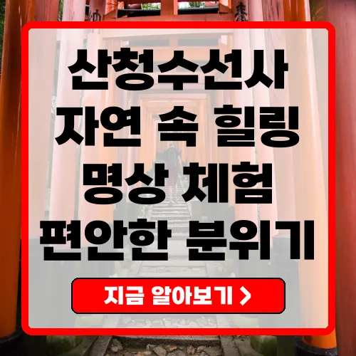 산청수선사 자연 속에서 힐링과 명상을 경험하는 최고의 장소