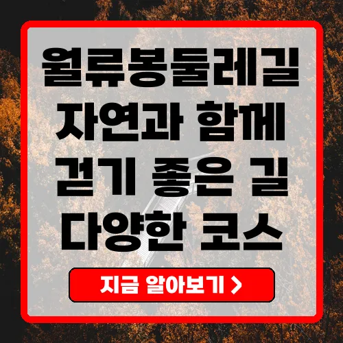 월류봉둘레길 총정리 자연과 함께하는 걷기 좋은 길