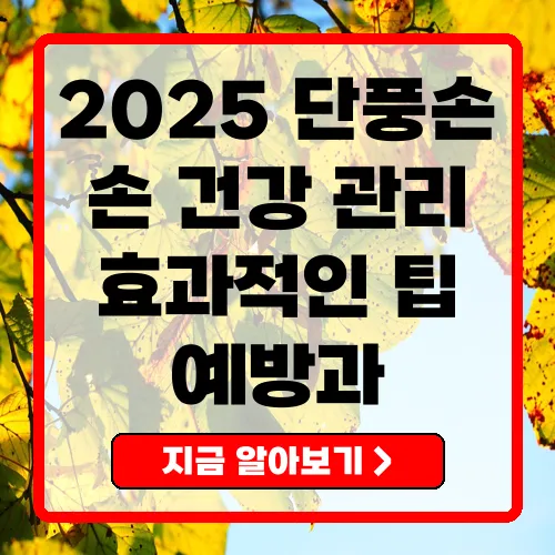 2025년 단풍손 손 건강을 지키는 방법과 주의사항