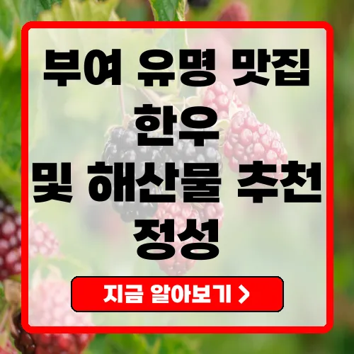 부여맛집 다양한 맛과 경험을 선사하는 맛집 총정리