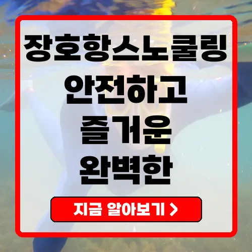 장호항스노쿨링 완벽 가이드와 이용 요금 총정리