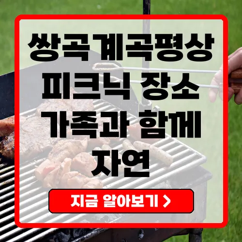 쌍곡계곡평상 이용 가이드 완벽한 피크닉을 위한 모든 정보