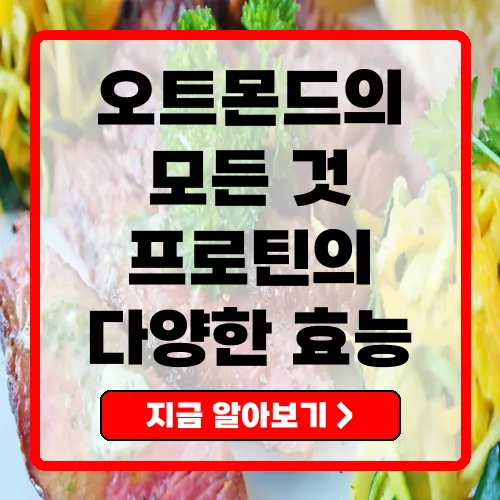 오트몬드 프로틴의 효능과 다양한 선택지 소개