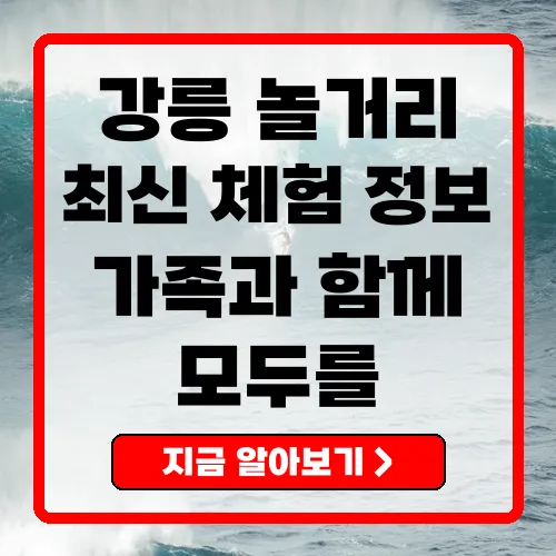 강릉 놀거리 완벽 가이드 최신 체험과 액티비티 총정리