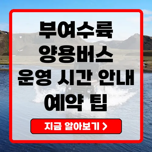 부여수륙양용버스 완벽 가이드 요금, 운영 시간, 예약 팁