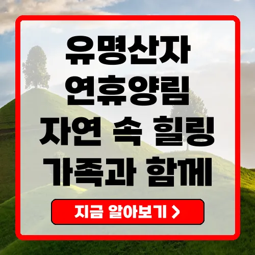 유명산자연휴양림에서 즐기는 최고의 자연 체험!
