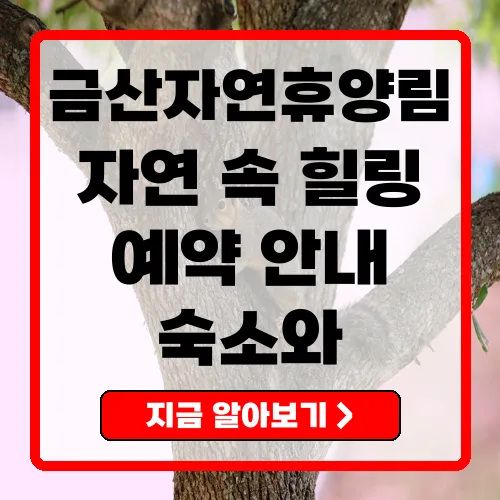 금산자연휴양림 완벽 가이드 예약, 숙박, 할인 정보 총정리