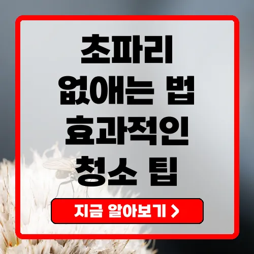 초파리 없애는 법 효과적인 청소와 유인제 활용법 총정리